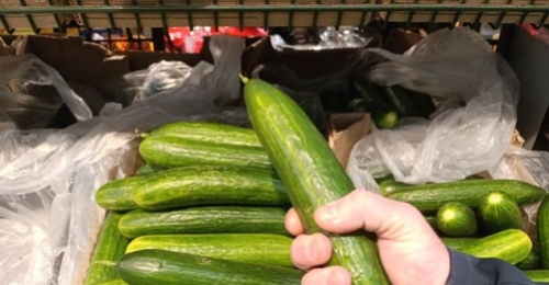 В Оренбурге огурцы подорожали до 300 рублей за килограмм