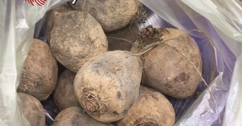 Какие продукты стоит добавить в рацион оренбуржцам, чтобы не болеть