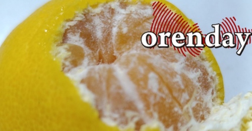 Овощи и фрукты, ввезённые из стран, где выявлен Нипах, нужно тщательно мыть