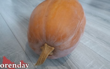 Запретить или праздновать: дилемма Хэллоуина для оренбургских школ и семей