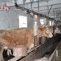 В Оренбургской области выявлена крупная партия просроченного молока