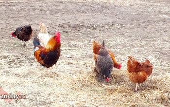 Какие нововведения в законодательстве ждут нас в ближайшие дни