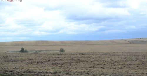 В Сакмарском районе владелец земли решил освоить свой участок, а он оказался занят