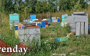 Три Спаса в августе 2025: когда празднуем и что важно знать