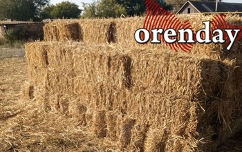 Житель Оренбуржья получил 4,5 миллиона рублей на развитие сельского хозяйства, но деньги так и не пошли в дело 