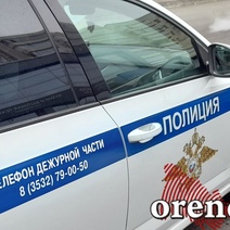 Новотройчанину, грабившему дачные домики и оказавшему активное сопротивление полицейскому, дали срок