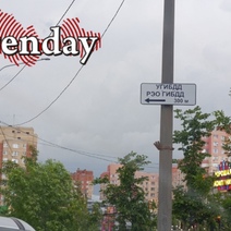 Как в Оренбуржье в связи с празднованием Дня России будут работать РЭО ГИБДД