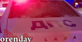 Кусь с пополнением дохода государства: в Оренбурге женщина цапнула за руку полицейского