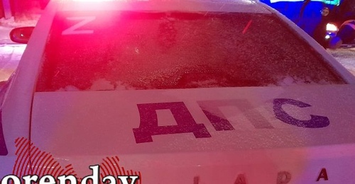 Кусь с пополнением дохода государства: в Оренбурге женщина цапнула за руку полицейского