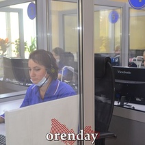 Жители Оренбуржья оборвали телефон службы спасения из-за бродячих собак