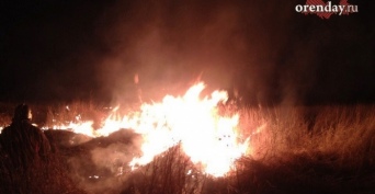 В Орске в районе Биофабрики загорелась сухая трава