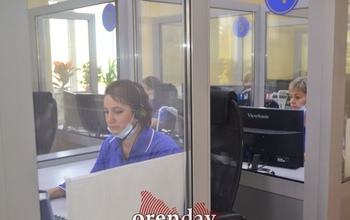 Жители Оренбуржья оборвали телефон службы спасения из-за бродячих собак