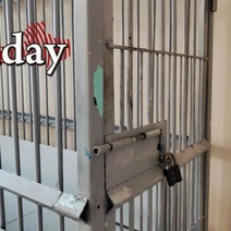 В Оренбурге выслушал приговор один из поставщиков опасной «молочки», травивших детей в школах