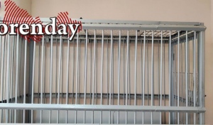 Автоледи в машине на большой скорости, спасая возлюбленного мигранта от депортации, ударила полицейского отверткой