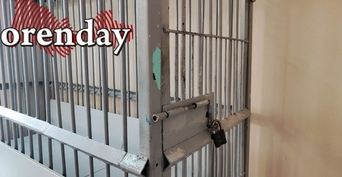 В Оренбурге двое молодчиков ответят за похищение, разбой и вымогательство человека