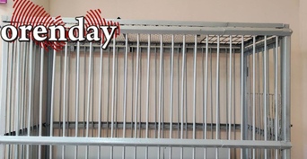 Автоледи в машине на большой скорости, спасая возлюбленного мигранта от депортации, ударила полицейского отверткой