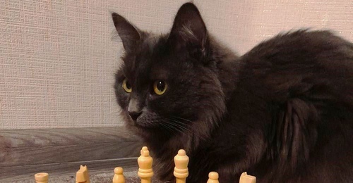 328 медалей на российских и международных соревнованиях завоевали в 2025 году спортсмены Оренбуржья