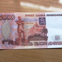 В Оренбургском районе оштрафовали водителя, шесть лет ездившего по поддельным правам