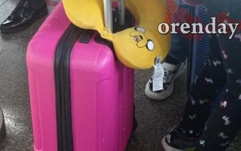 Роспотребнадзор по Оренбургской области напоминает о профилактике кори для путешественников