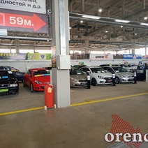 В Оренбуржье меньше 10 % семей могут купить в кредит и содержать новый недорогой автомобиль