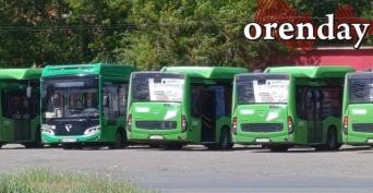 Сколько крупнейшее транспортное предприятие Оренбурга зарабатывает на размещении рекламы на транспорте