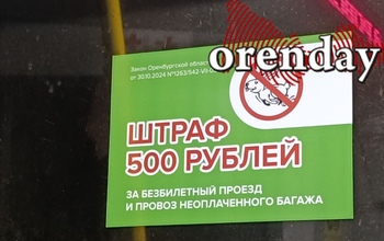 Оренбург «нарубил» на «зайцах» около 1 миллиона рублей