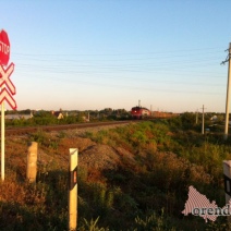 На российско-казахстанской границе задержан поезд №5 Ташкент-Москва 