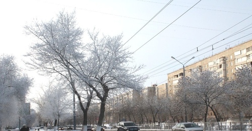 В предновогоднюю неделю Оренбуржье ждут снегопады