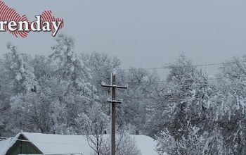 В Оренбургском районе опека отобрала внучку у бабушки из-за ужасных условий проживания