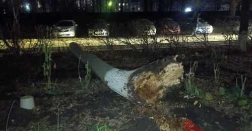 Не повезло с парковкой или с обслуживанием территории? Оренбуржец добился компенсации за авто, раздавленное деревом