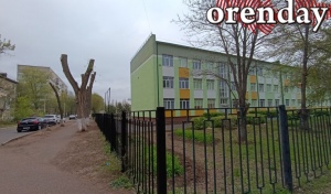 В Оренбурге опиловку опасных деревьев проведут почти в четырёх десятках садов и школ