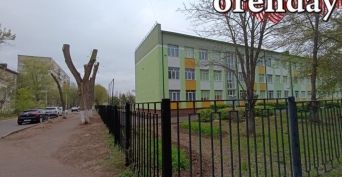 В Оренбурге опиловку опасных деревьев проведут почти в четырёх десятках садов и школ