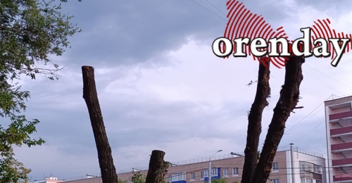 Оренбуржцев предупредили о штрафах за складирование веток и листвы у контейнерных площадок