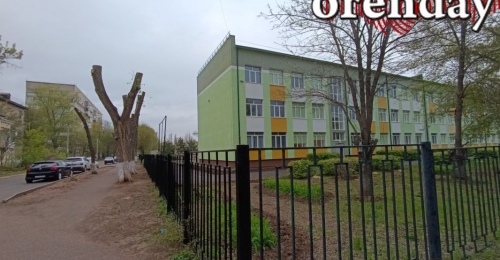 В Оренбурге опиловку опасных деревьев проведут почти в четырёх десятках садов и школ