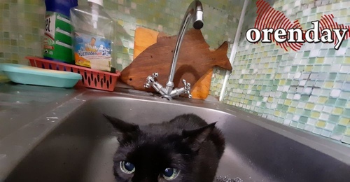 В Оренбурге из-за аварии дома на проспекте Гагарина до утра остались без холодной воды