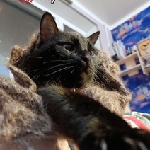 В центре Оренбурга несколько домов остались без отопления