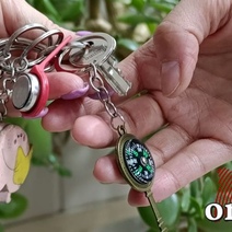 Квартиры чиновника в Москве, Сочи, Оренбурге обращены в доход государства