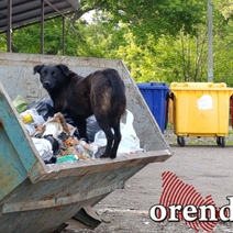 В Арбитражном суде Оренбургской области сегодня состоится очередной раунд между ООО «Природа» и минприроды региона