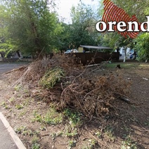 Жителей Оренбуржья ждут увеличенные штрафы за неправильное обращение с мусором