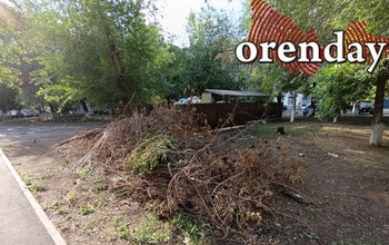 Жителей Оренбуржья ждут увеличенные штрафы за неправильное обращение с мусором