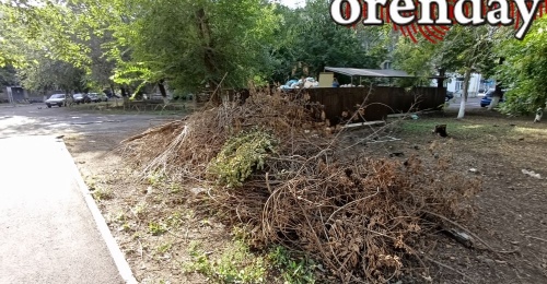 Осень в Оренбуржье: кому сдавать листву и ветки и почему их не заберёт мусоровоз