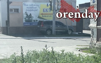 В Оренбурге зафиксированы очаги опасной амброзии