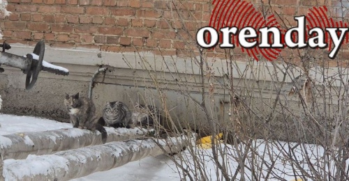 Жительница Новотроицка, проходя вдоль многоквартирного дома, провалилась в яму