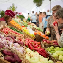 На что жаловались оренбуржцы в октябре