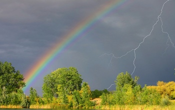 Когда стадо и река были большими