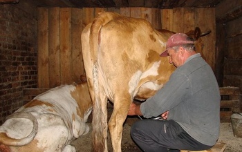 Село с населением почти в тысячу человек