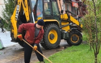 Порядка 100 хвойных деревьев украсят улицы Медногорска