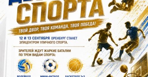 Фестиваль дворового спорта объединит сильнейшие команды