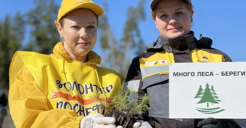 Тысячи сосен в честь героев войны. Нефтяники высадили «Сад памяти» в Бузулукском бору