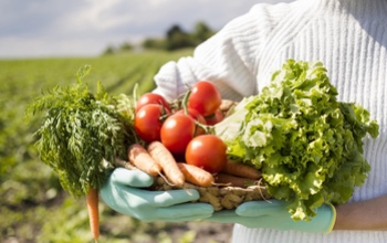 ВТБ: в течение пяти лет экспорт сельскохозяйственной продукции превысит 50 млрд долларов